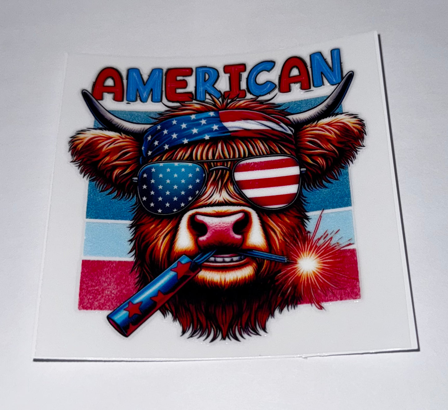 American Highland Cow #2