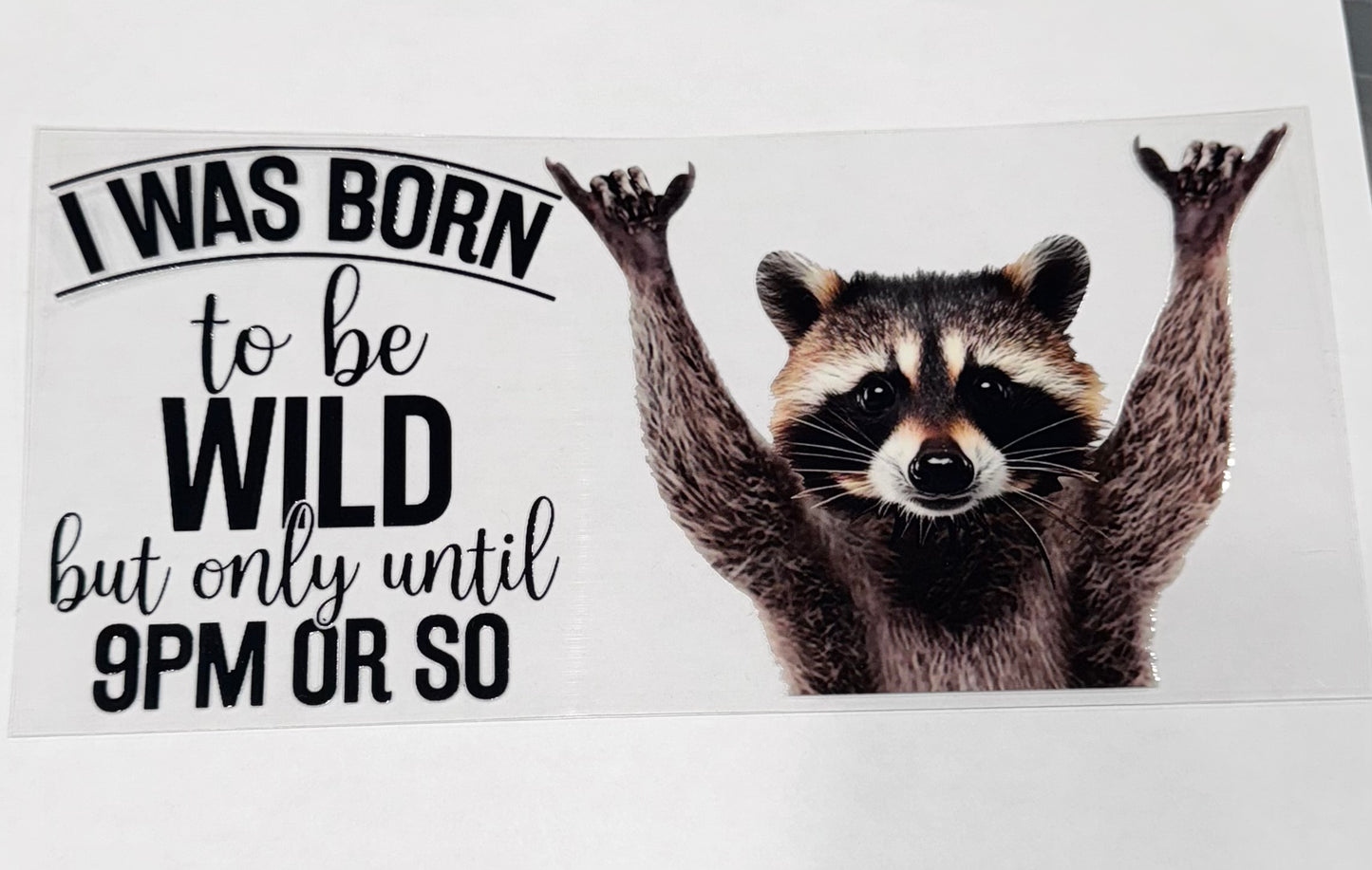 Born Wild Racoon