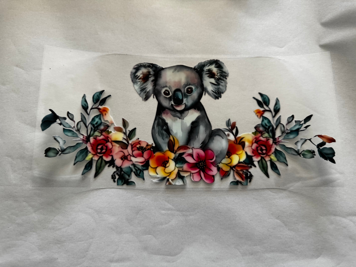 Koala