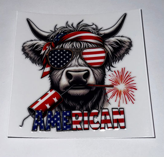 American Highland Cow #1