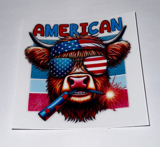 American Highland Cow #2