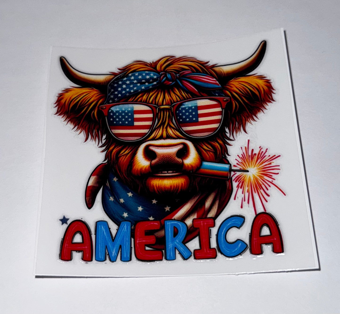 America Highland Cow