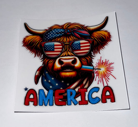 America Highland Cow