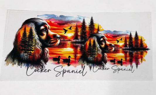 Cocker Spaniel