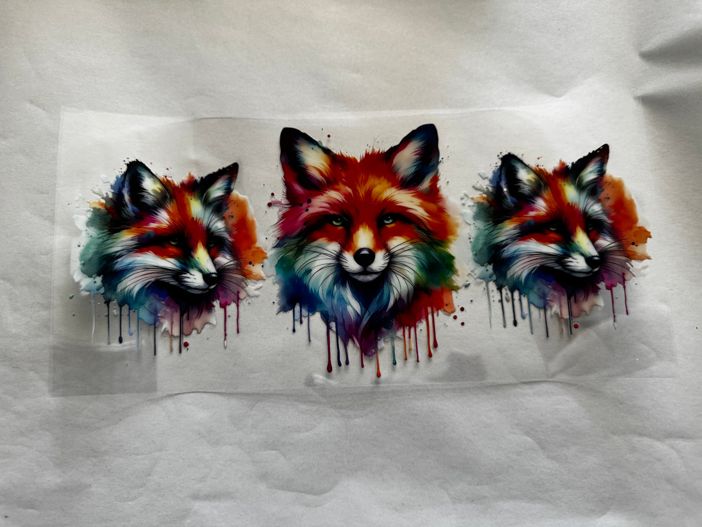 Foxes
